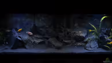 Faszination Malawi von chR576