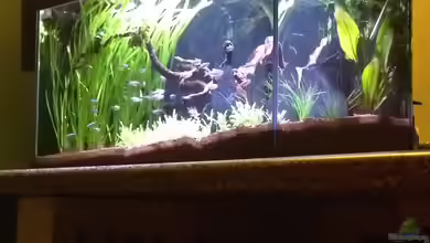 Feierabend Becken von Theo Heimann