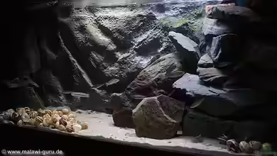 Fertighaussiedlung von Julien Preuß