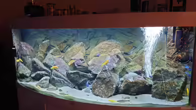 First Malawi von Stefan von Oettingen