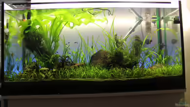 First Try von AquarienHans