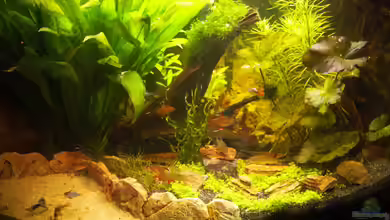 First Try von Kasía