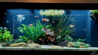 Fischsuppe 450 von Andi84