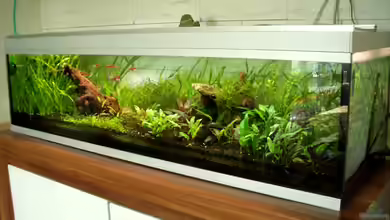 Flat Impression von navigator1