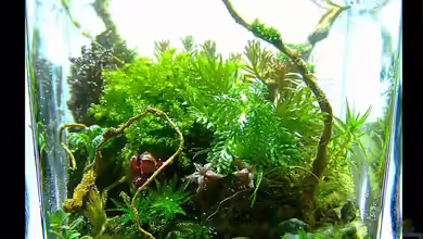 Flower von Fredo Fuss