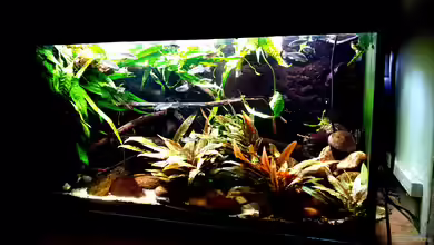 Flowing Asian River von Leon