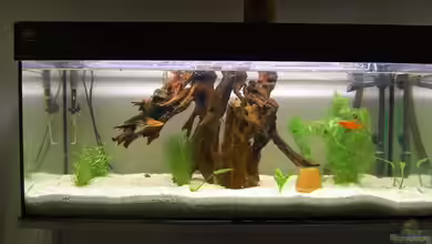 Flur von Der Bärliner