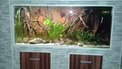 Fluss Ufer (Nur noch als Beispiel) von Kai Heermann