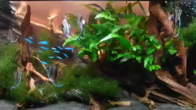 Flussabwärts von Thorsten G.