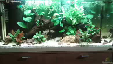 Flusslauf von Sasche Meier