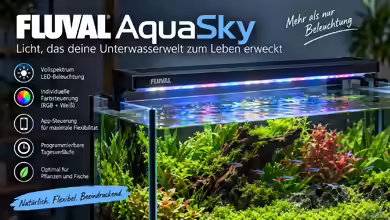 Fluval AquaSky: flexible LED-Beleuchtung für moderne Süßwasseraquarien