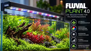 Fluval Plant 4.0 – Moderne LED-Beleuchtung für anspruchsvolle Pflanzenaquarien