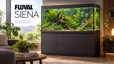 Fluval Siena – hochwertiges Aquariensystem für anspruchsvolle Aquarianer