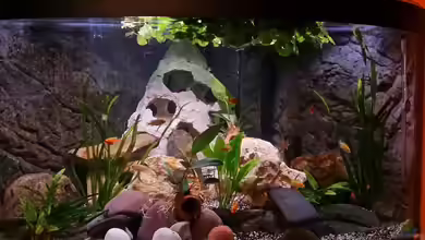 Fluval Venezia 350 Eckaquarium von Steffen und Felix