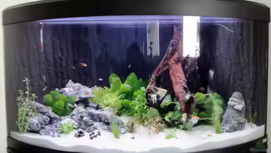 Fluval Venezia 350 von Heidi und Gerhard