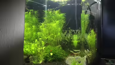 Forgotten River von DavidK31