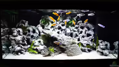 Frontansicht von decypher