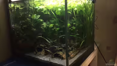 Froschwelten (nur noch als Anschauungsbeispiel) von Danny