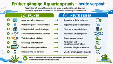 Früher gängige Aquarienpraxis - heute verpönt