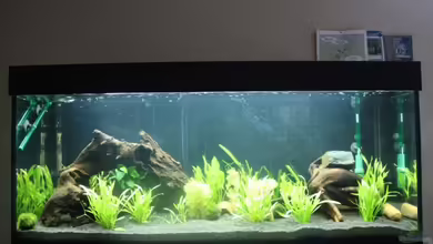 Ganzer Stolz von iStift_OB