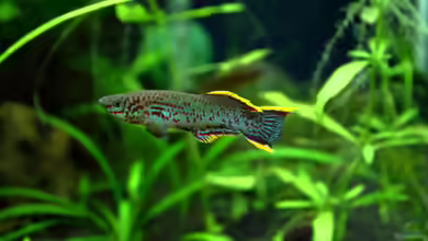 Gardeners Paradise von Blue