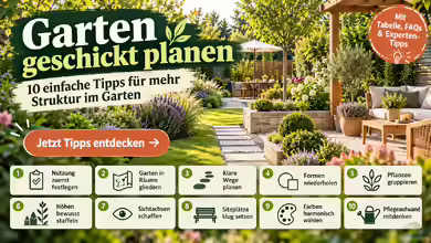 Garten geschickt planen: 10 einfache Tipps für mehr Struktur im Garten