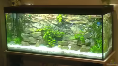 GeneratorG`s MalawiTank von GeneratorG