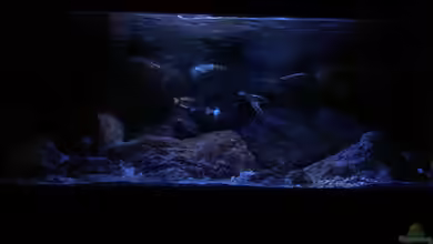 Geröllfeld von namaycushfreak