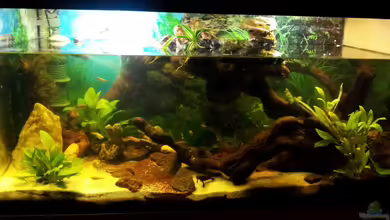 Gesellschafts"aquaterra" von Wensday