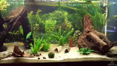 Gesellschaftsbecken Wohnzimmer von Moe