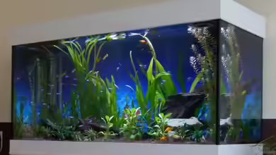 Gesellschaftsbecken von Mc.Maurer