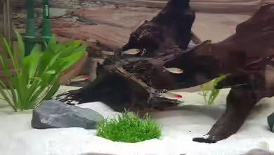 Gewässer um Sarayaku von Marcel Raack