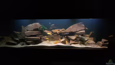 Grabensee im Wohnzimmer von Tim Gleichmann