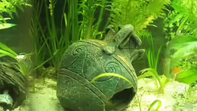 GreenWorld von Maggie Blue