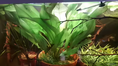 Größenkompromiss (Provisorium) von Markus J.