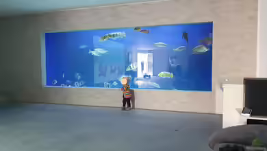 Großaquarium in Bayern von Fido86
