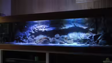 Guido´s Kaiserpalast von Strücher Jung