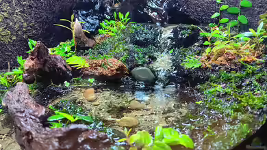 Hardangervidda von Junglist