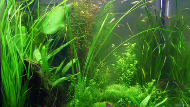 Herbststimmung (nicht mehr in Betrieb) von Torsten Franke