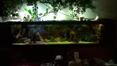 Hessen Rio von Lars Ascher