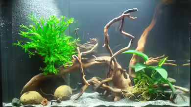 Hexenwelse & Co. ... aufgelöst von miss_underwaterlove