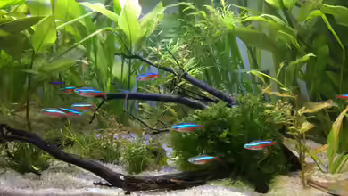 Home sweet Neon home von Yueliang