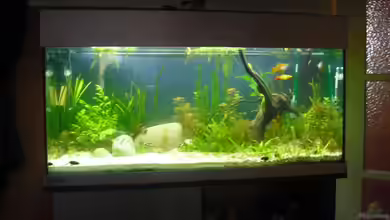 Hunters of Dune von Fireman