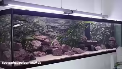 Hunters of Malawi (aufgelöst) von Jürgen Herb