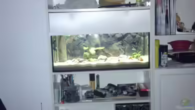 IKEA Billy Regal Aquarium von Talorin