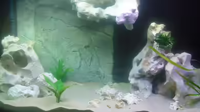 Im Aufbau - suche noch Tipps von Matthias Moll