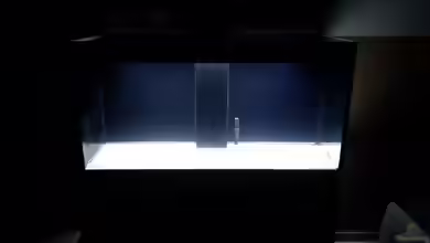 Incpiria 400 Diskus von Phillip92