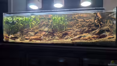 Irgendwo in Sri Lanka von GKR