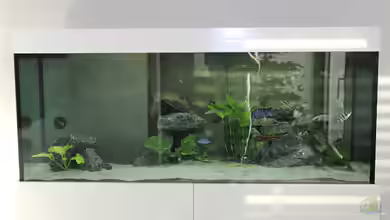 Jalo Reef von Lemans