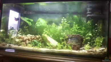 Jannik sein Becken von Papa Rainer